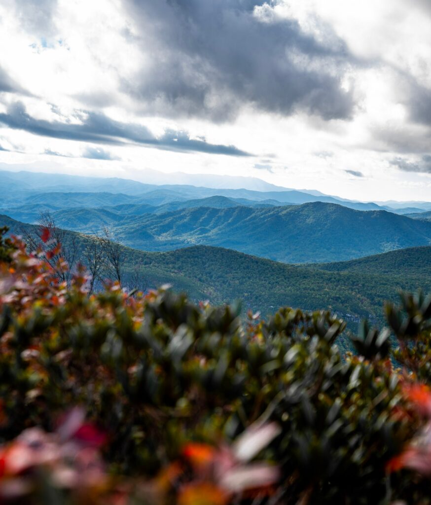 3 Fun NC Destinations to Celebrate with your College Grad